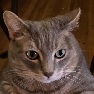 Meet your Posher, Matt